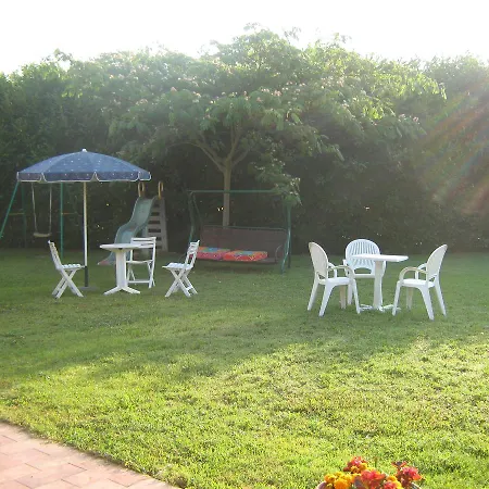 Oasi