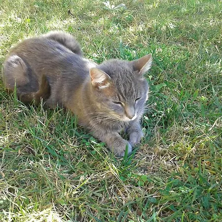 Oasi 4* Rosciano (Abruzzo)