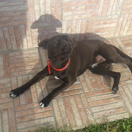 Oasi 4* Rosciano (Abruzzo)