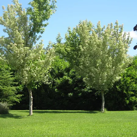 Oasi Bed & Breakfast