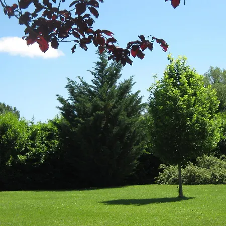 Oasi Bed & Breakfast