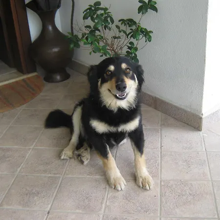 Oasi Frühstückspension