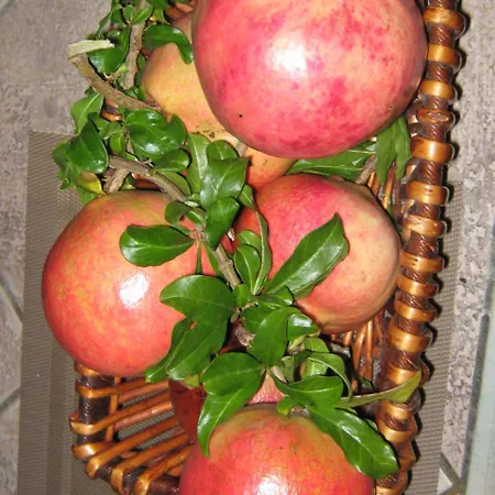 Frühstückspension Oasi 4*