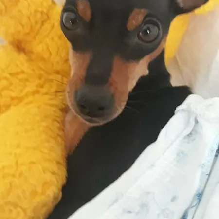 Oasi 4* Rosciano (Abruzzo)