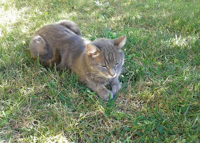 Oasi 4* Rosciano (Abruzzo)