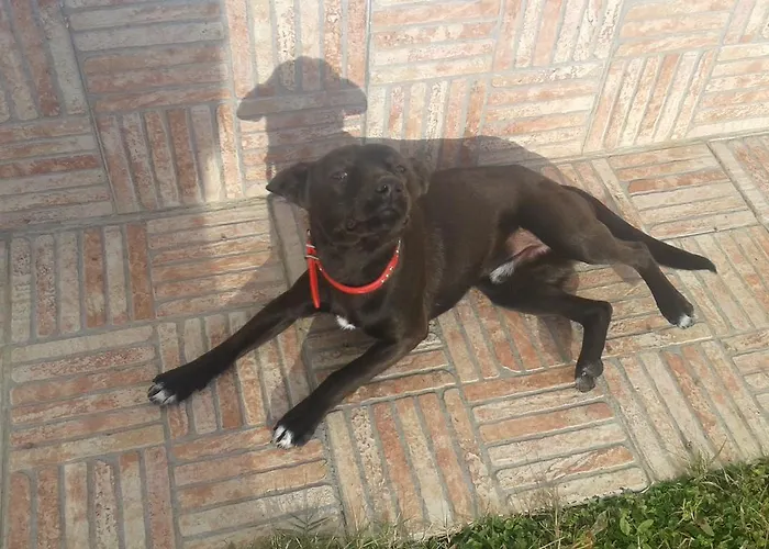 Oasi 4* Rosciano (Abruzzo)