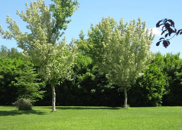 Oasi Bed & Breakfast