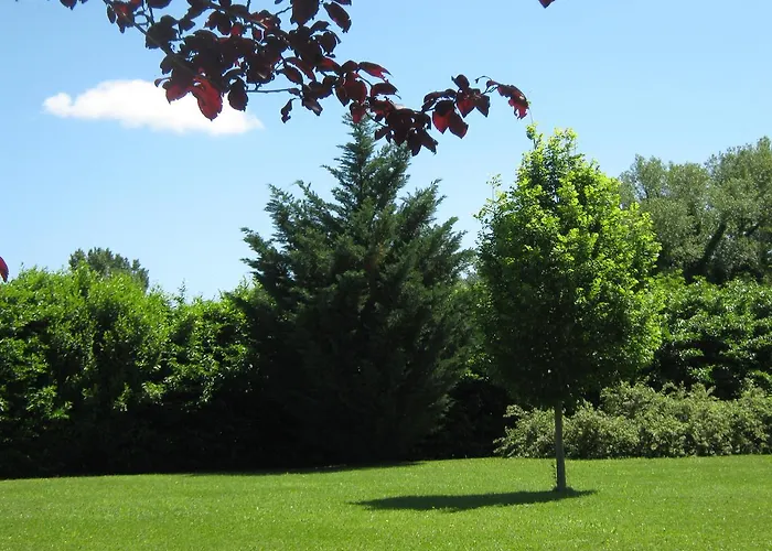 Oasi Bed & Breakfast