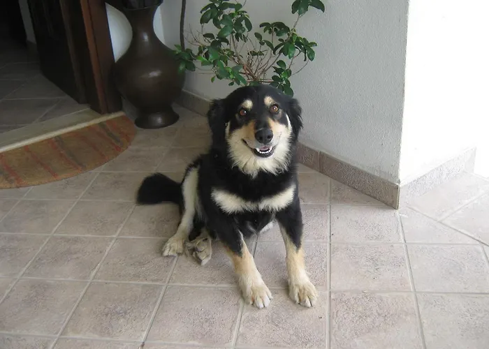 Oasi לינה וארוחת בוקר