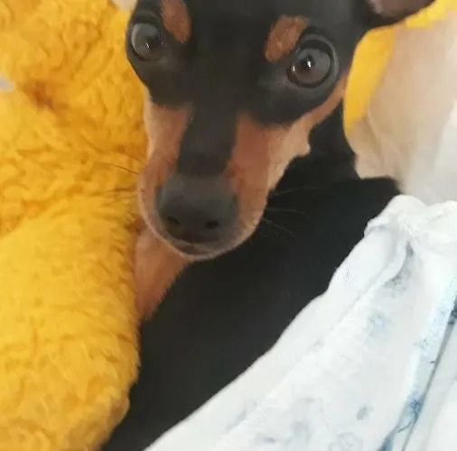 Oasi 4* Rosciano (Abruzzo)